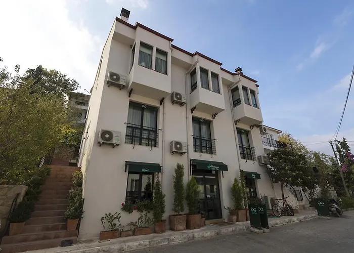 Bed and breakfast The Goose 3*