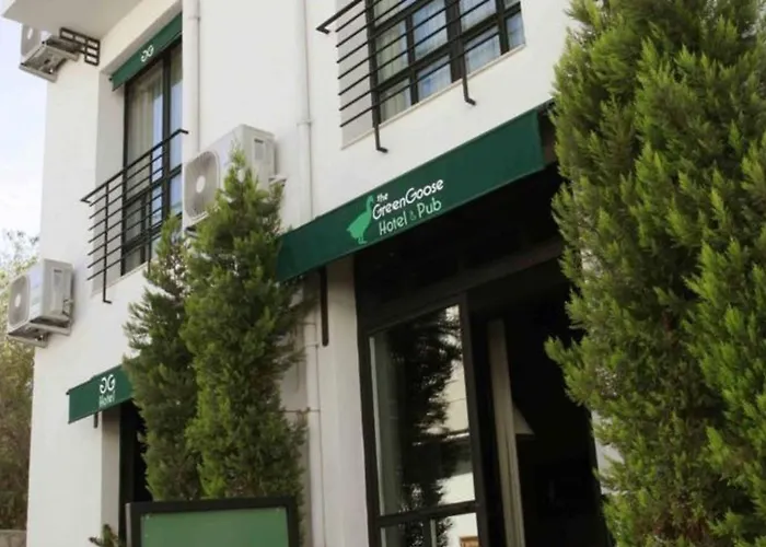 Bed and breakfast The Goose